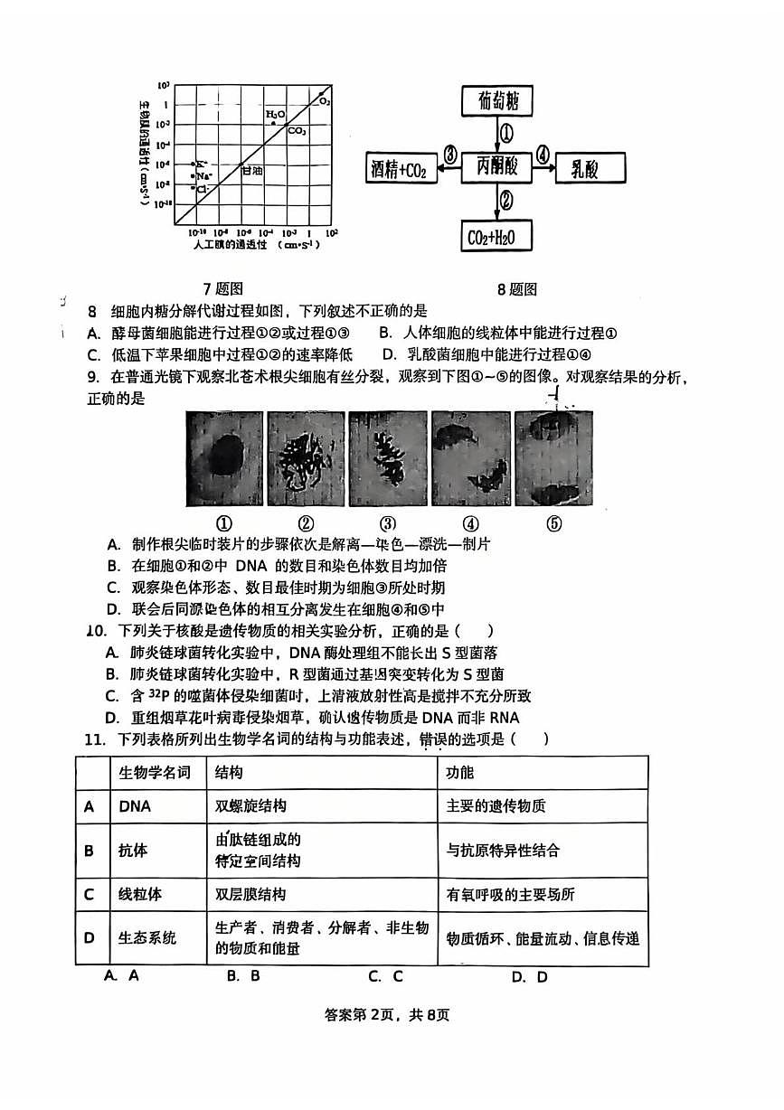 北京市北京市平谷区北京市平谷中学2025-2026学年高三上学期10月月考生物试题第2页