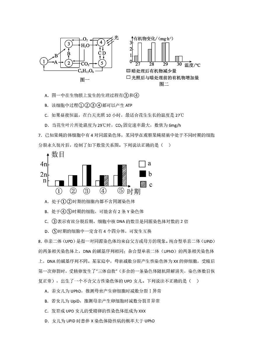2025年下学期高三第三次月考生物试卷（原卷）第3页