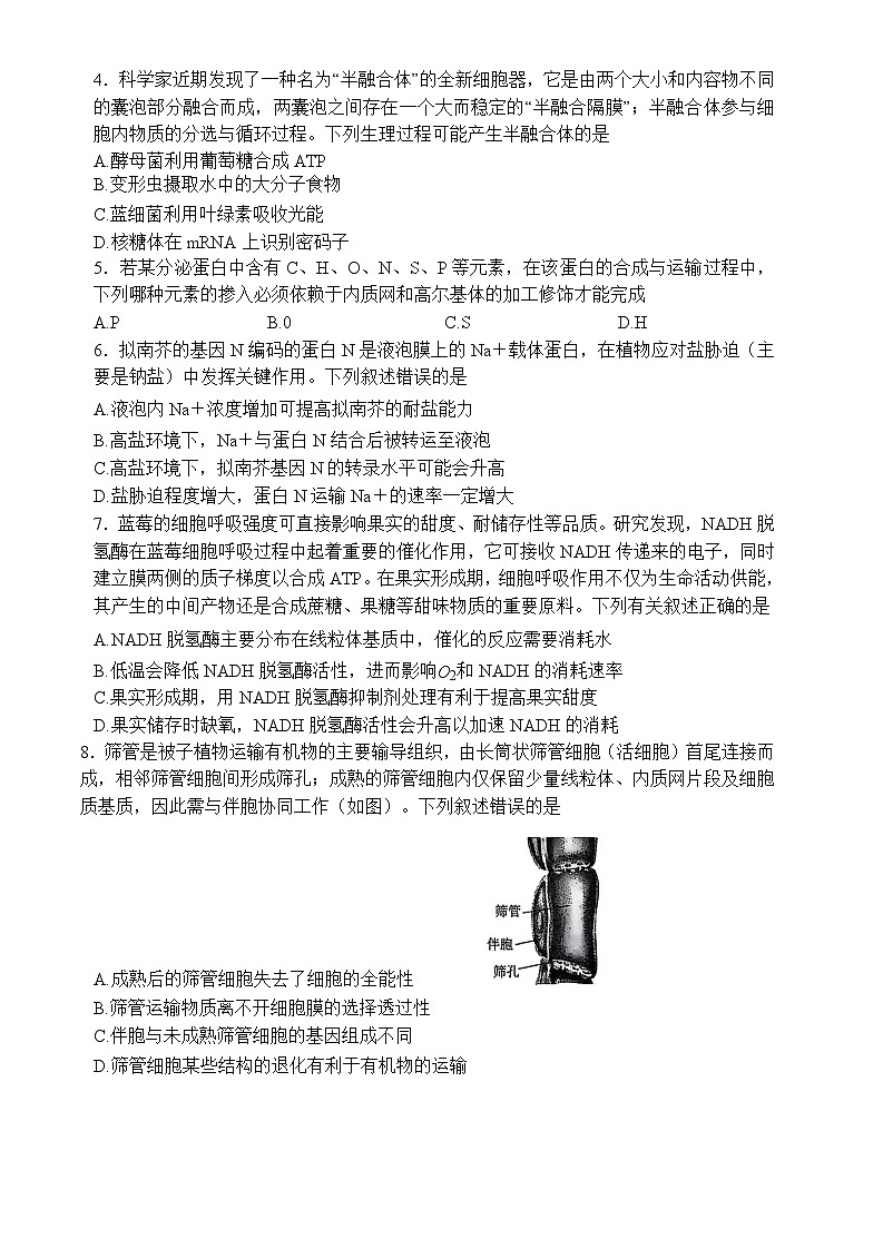-河南省天一小高考2025-2026学年高三上学期10月联考生物试题第2页