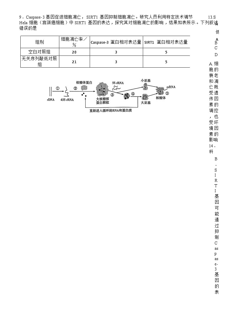 -河南省天一小高考2025-2026学年高三上学期10月联考生物试题第3页