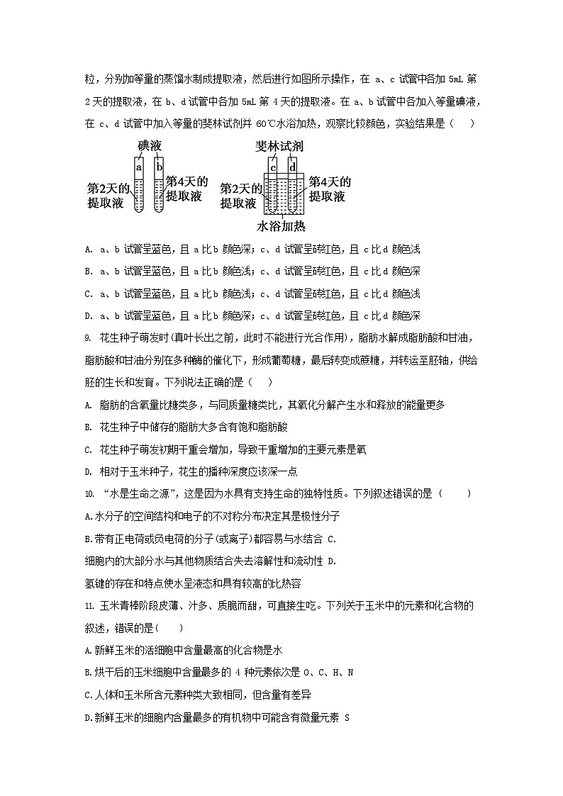 山东省济宁市实验中学2025-2026学年高一上学期10月月考生物试卷第3页