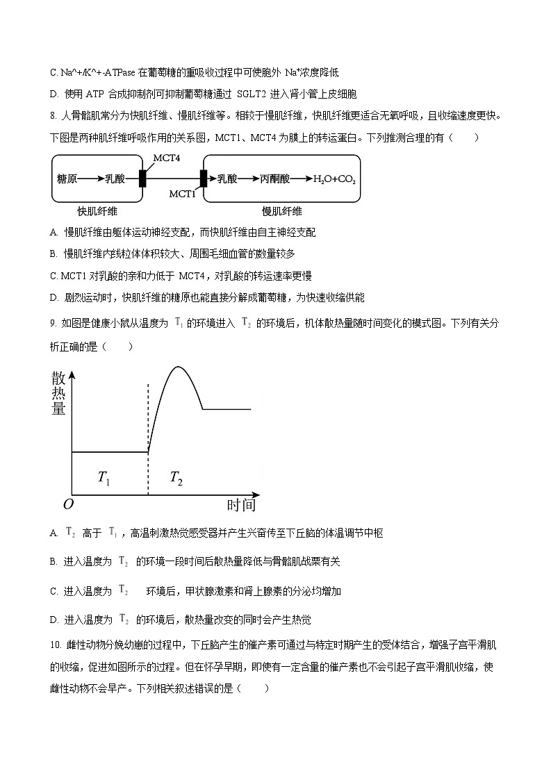 湖南省长沙市第一中学2025-2026学年高二上学期10月月考生物试卷第3页