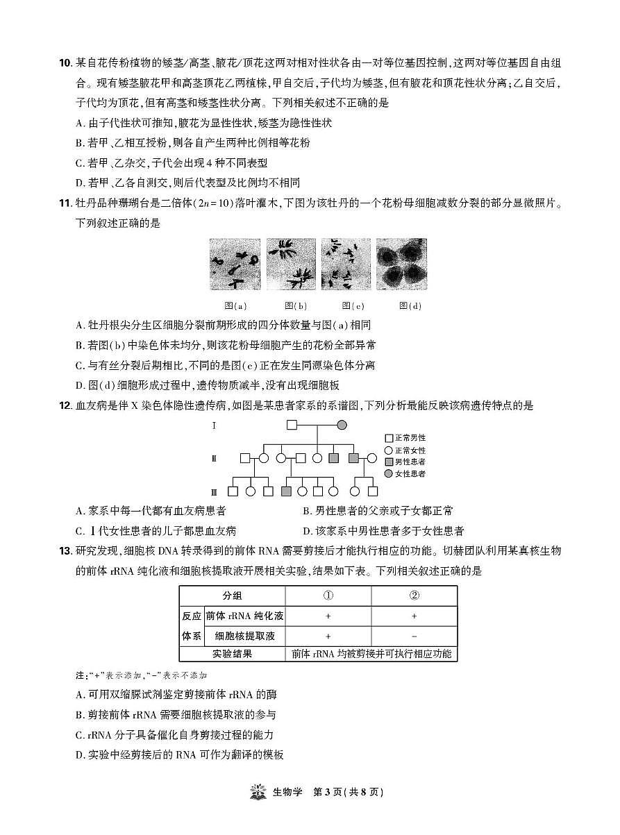 东北精准教学联盟高三10月---生物学 强化卷 试卷第3页