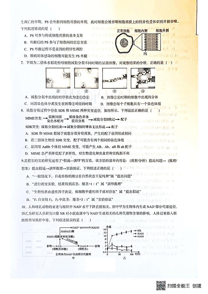 福建省漳州市第一中学2025-2026学年高三上学期第二次测试生物试题（月考）第2页