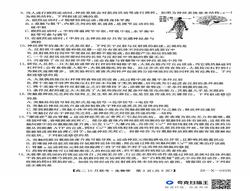 安徽省县中联盟2025-2026学年高二上学期10月联考生物试题第2页