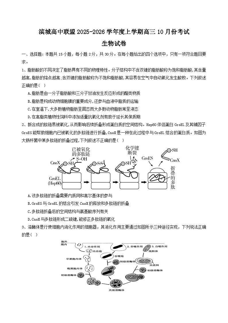 生物试题第1页