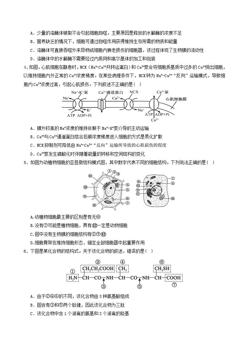 生物试题第2页