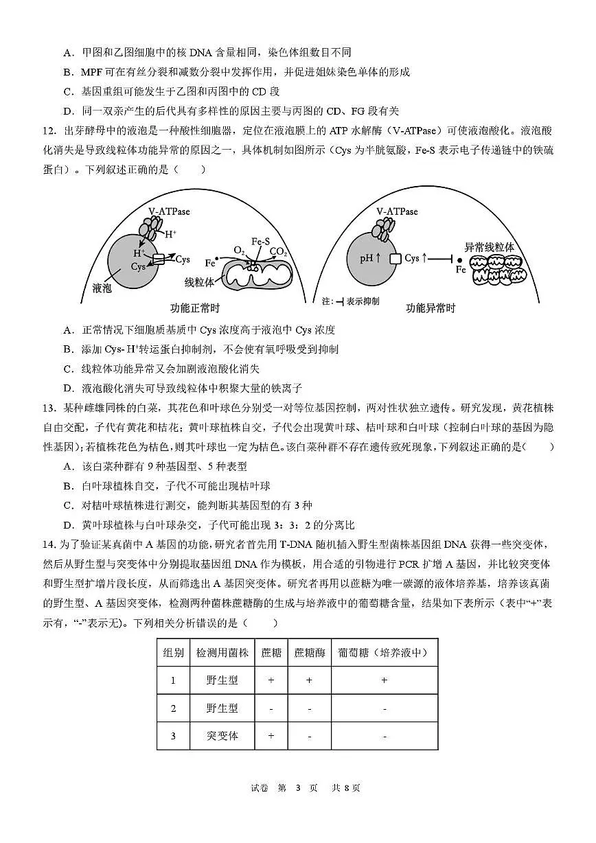广东省佛山市S6高质量发展联盟2025-2026学年高三上学期联考生物试卷第3页
