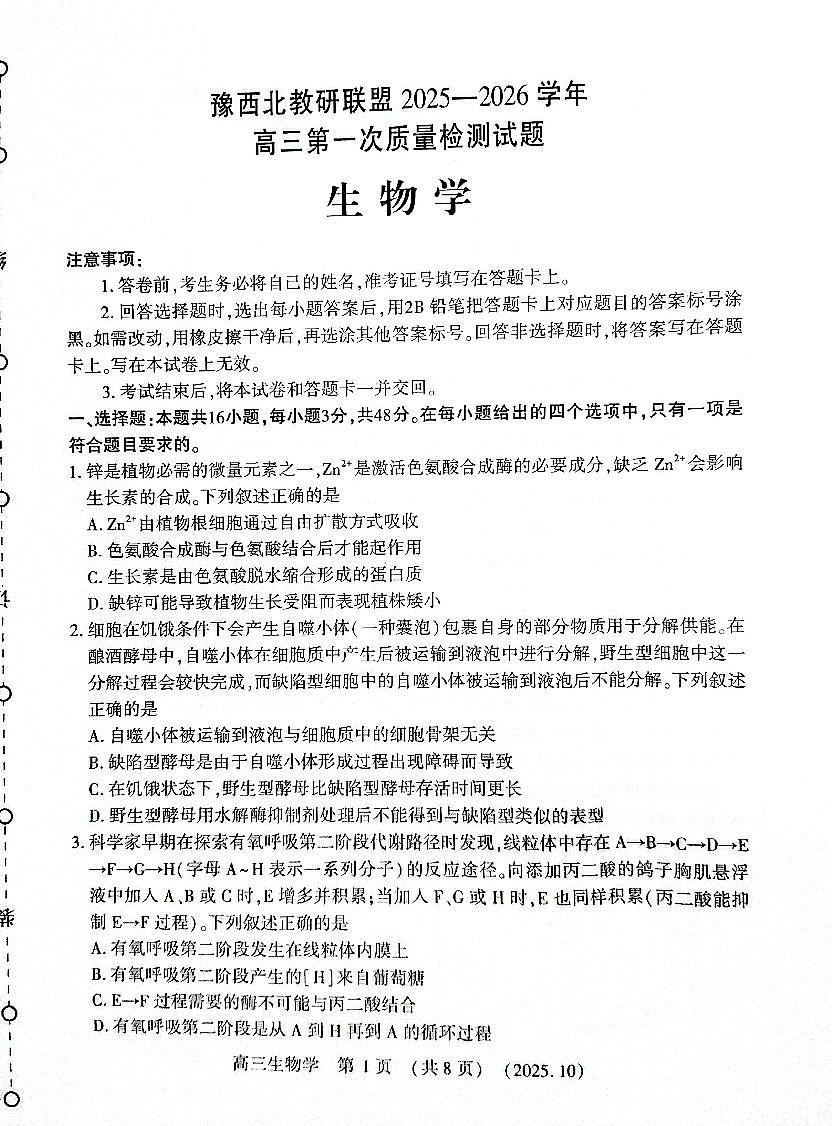 2025年豫西北教研联盟高三上学期10月生物试题无答案第1页