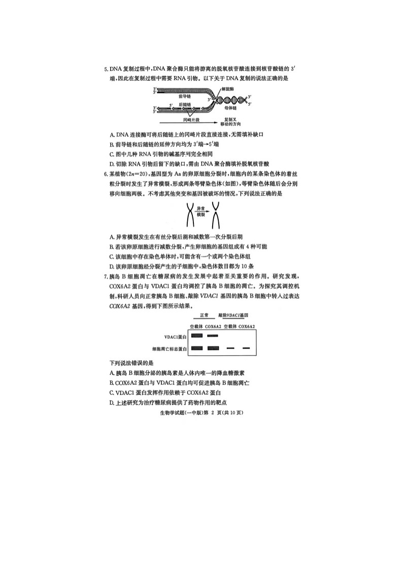 湖南长沙一中2025-2026高三上10月月考生物卷含答案第2页