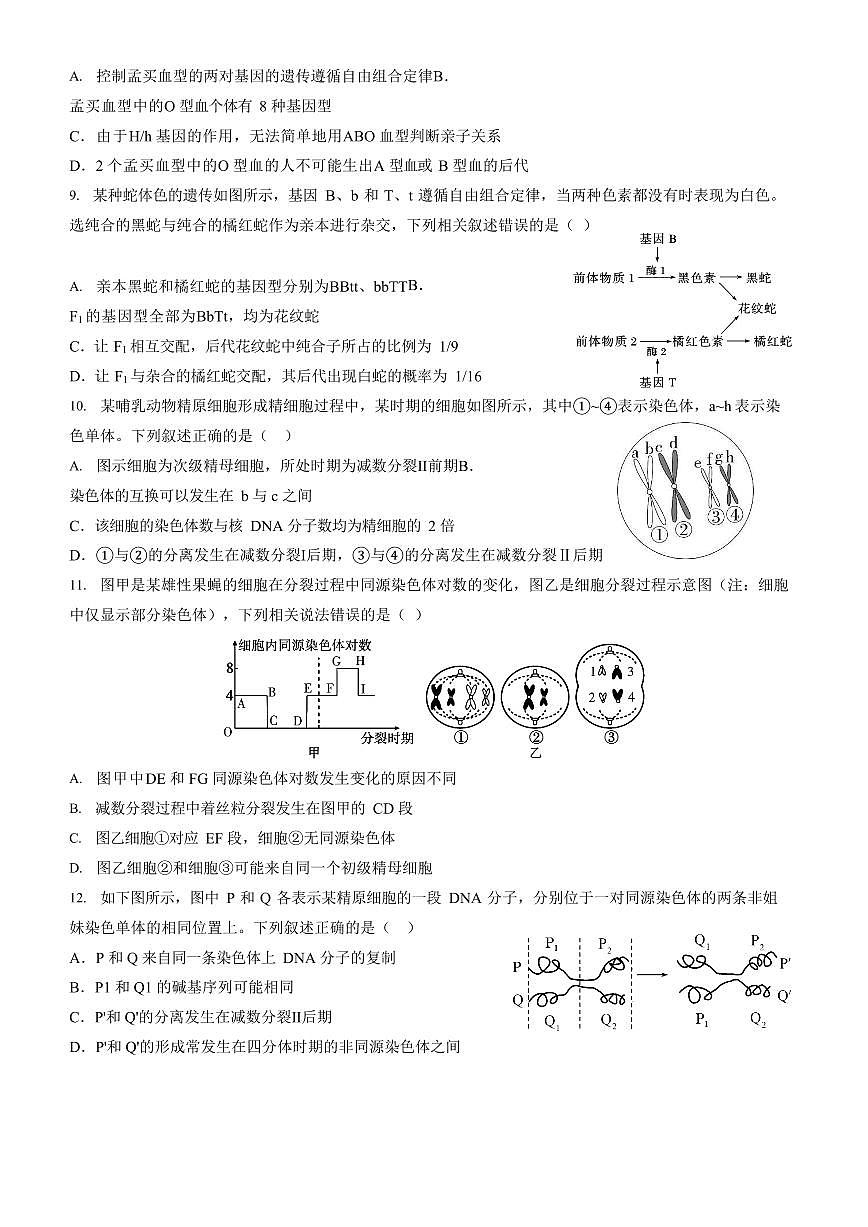 山东省济宁市第一中学2024-2025学年高一下学期3月月考生物试卷+答案第3页