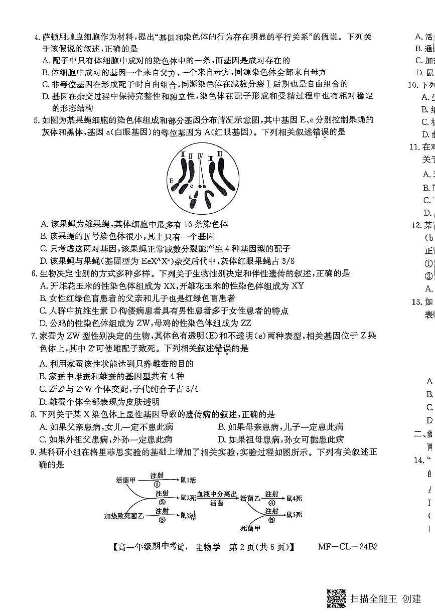 河北省沧州市四县联考2024-2025学年高一下学期4月期中考试生物试卷+答案第2页