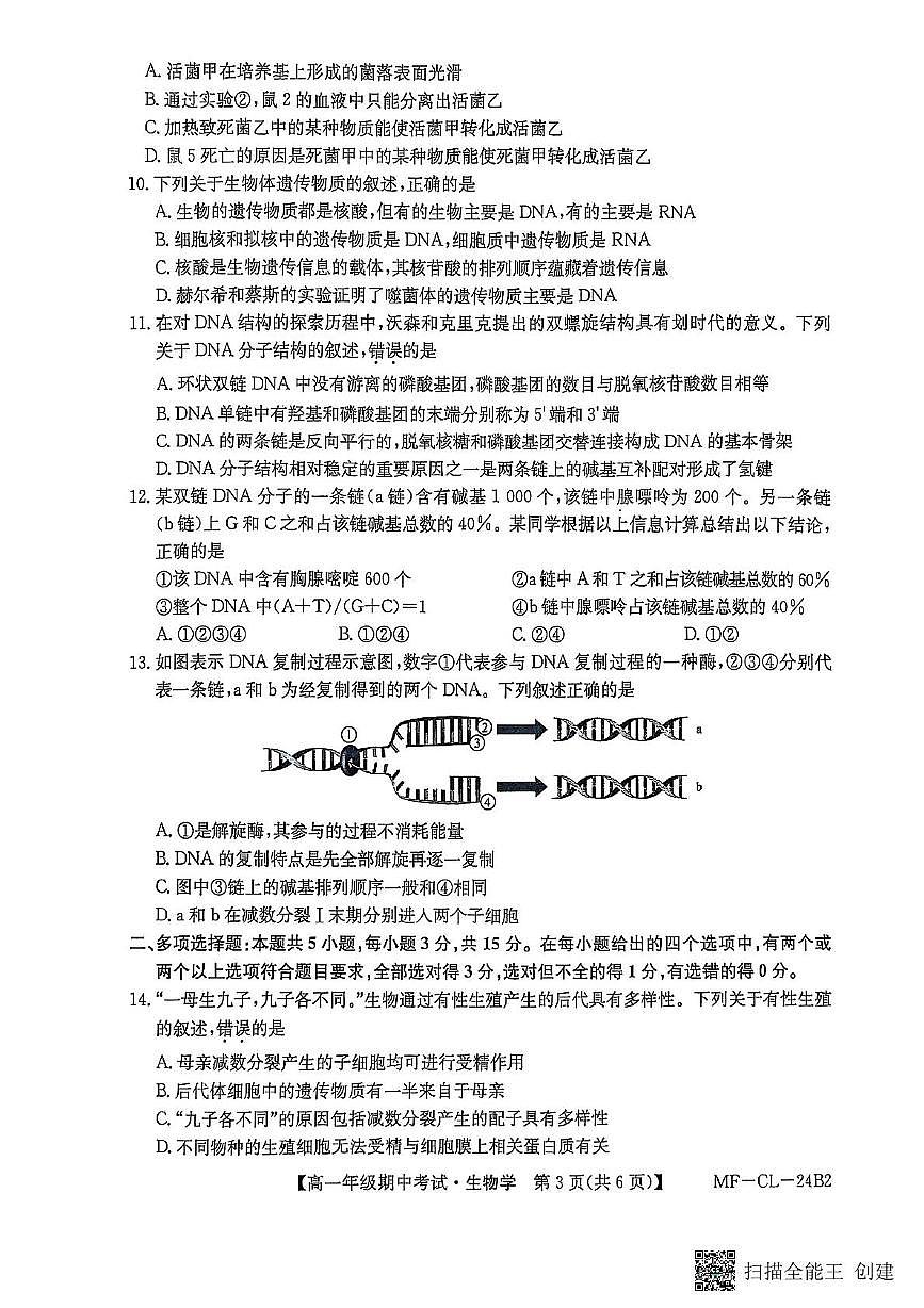 河北省沧州市四县联考2024-2025学年高一下学期4月期中考试生物试卷+答案第3页