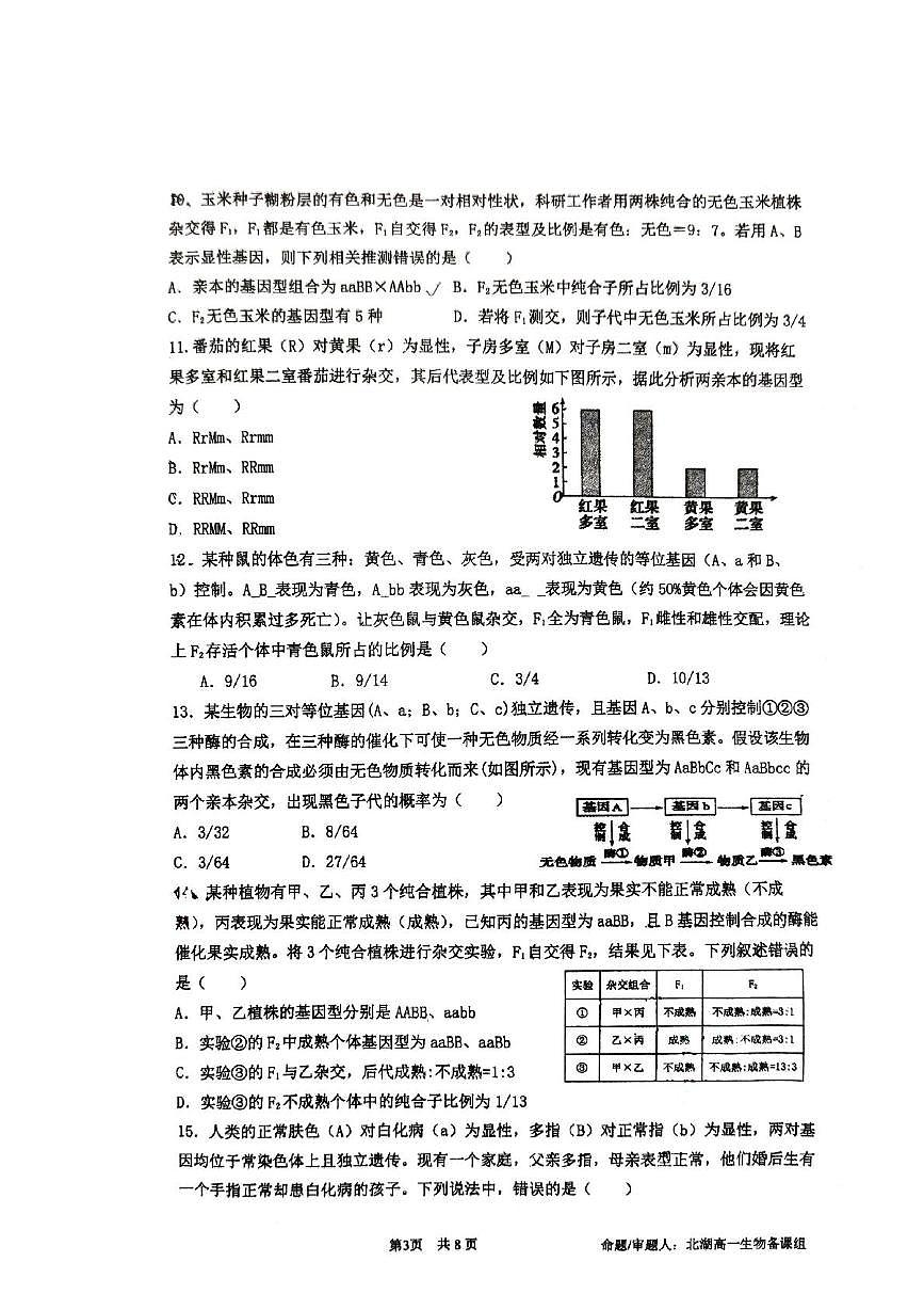 四川省成都市石室中学2024-2025学年高一下学期3月月考生物试卷+答案第3页