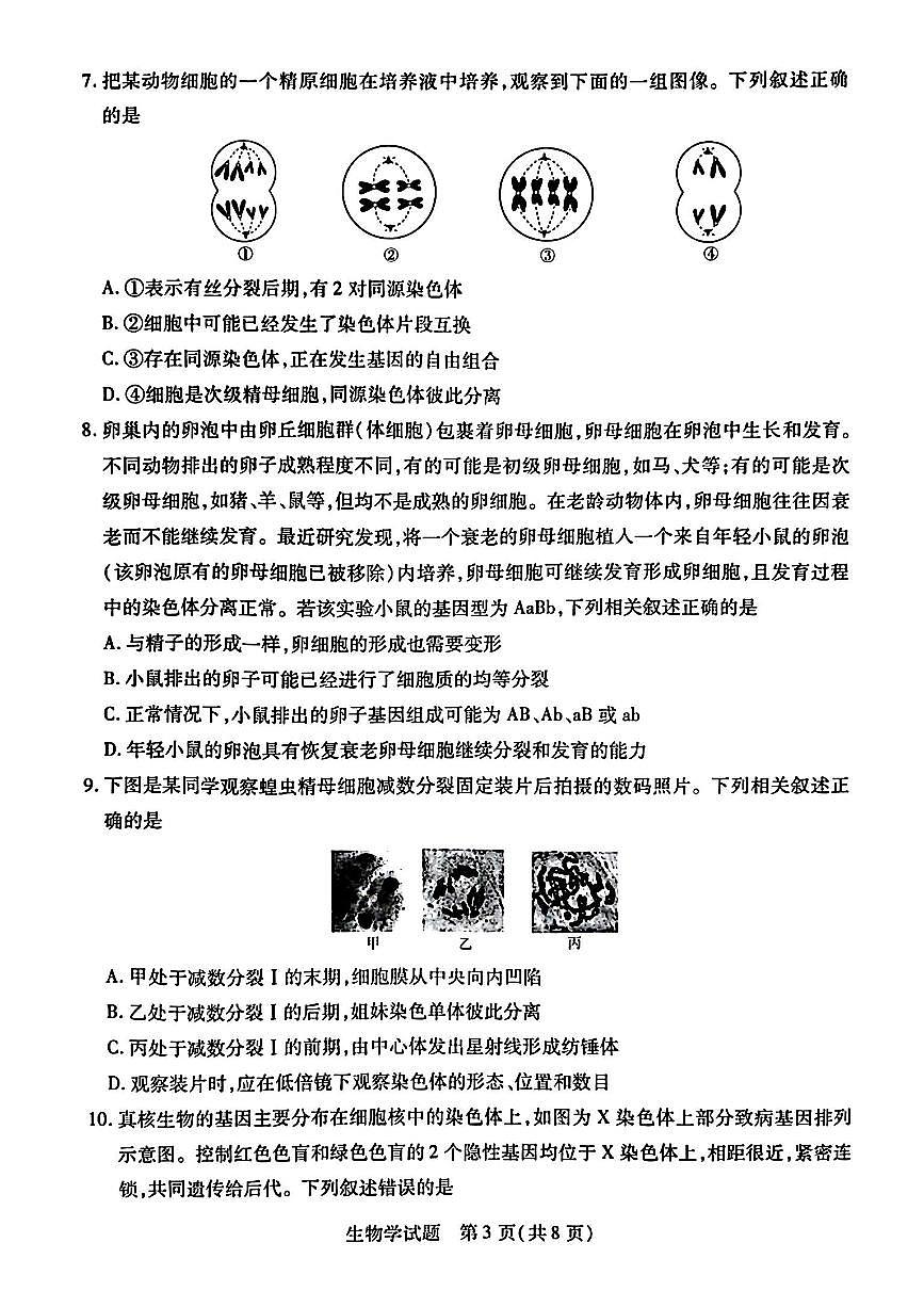 河南省南阳市六校2024-2025学年高一下学期期中考试生物试卷+答案第3页