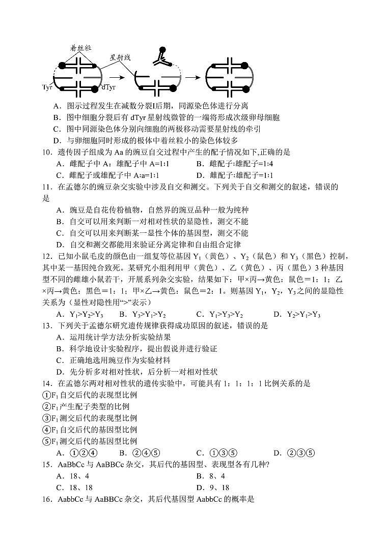 江苏省扬州市广陵区江苏省扬州中学2024-2025学年高一下学期3月月考生物试题（含答案）第3页