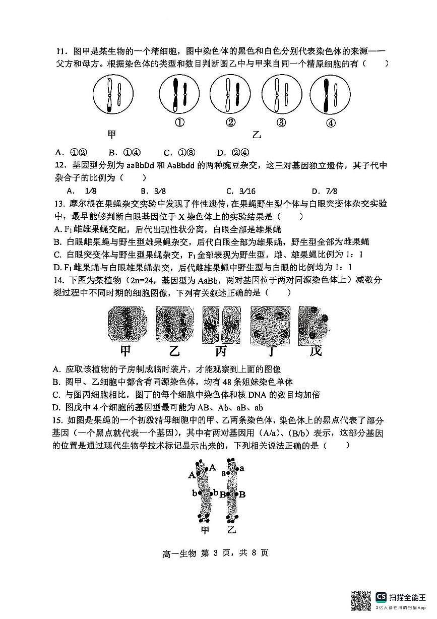 黑龙江省哈尔滨市第三中学校2024-2025学年高一下学期4月月考生物试题第3页