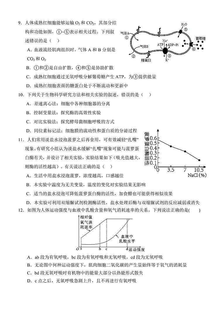 湖北省荆州市沙市中学2024-2025学年高一下学期3月月考生物试题（含答案）第3页