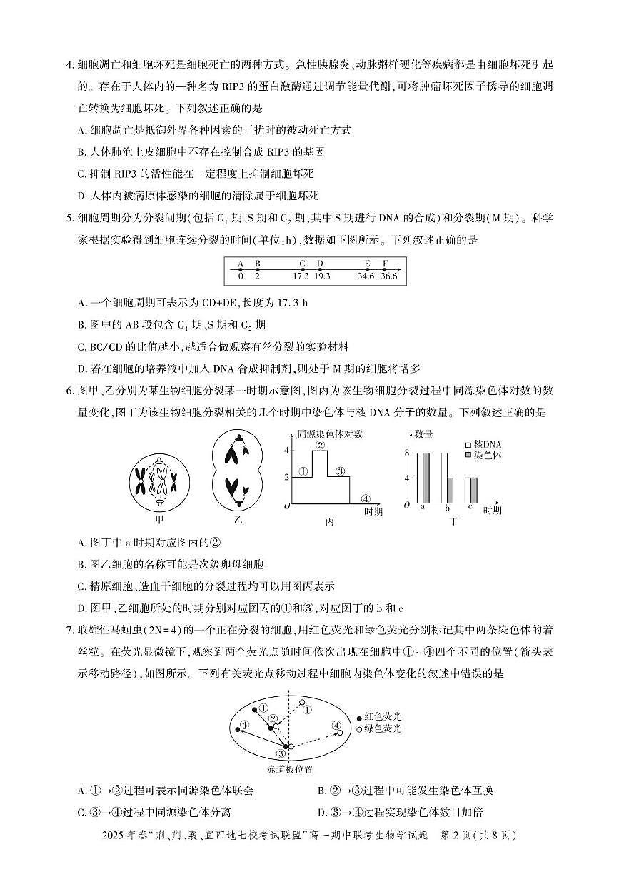 湖北省“荆、荆、襄、宜四地七校考试联盟”2024-2025学年高一下学期期中联考生物试卷+答案第2页