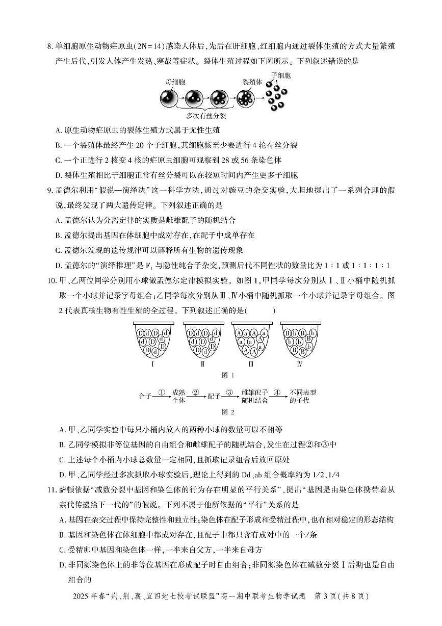 湖北省“荆、荆、襄、宜四地七校考试联盟”2024-2025学年高一下学期期中联考生物试卷+答案第3页