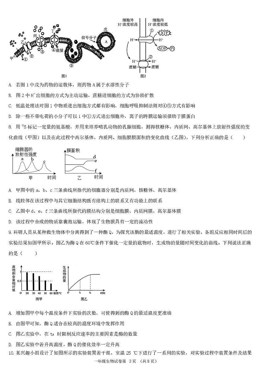 湖北省宜昌市部分省级示范高中2024-2025学年高一下学期4月期中联合考试生物试卷+答案第3页