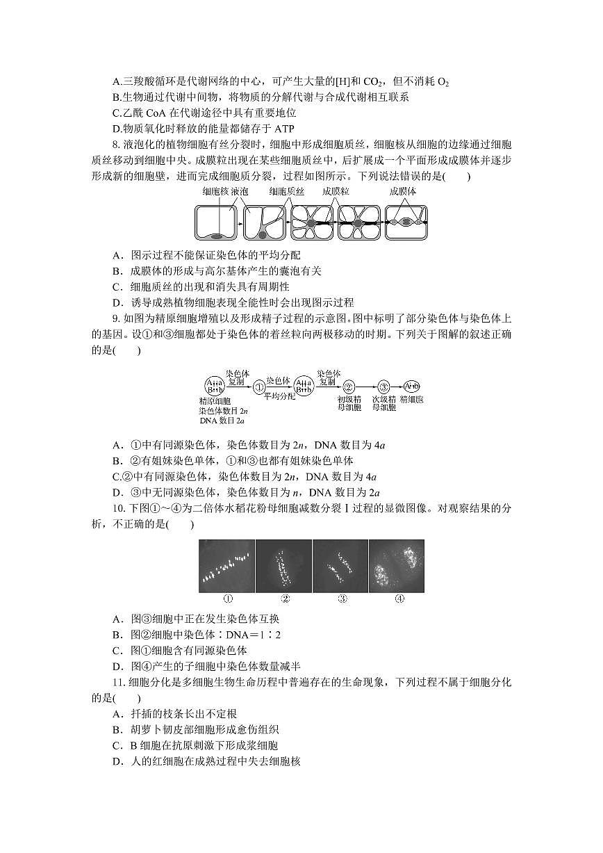 湖北省部分高中协作体联考2024-2025学年高一下学期5月月考生物试卷+答案第3页