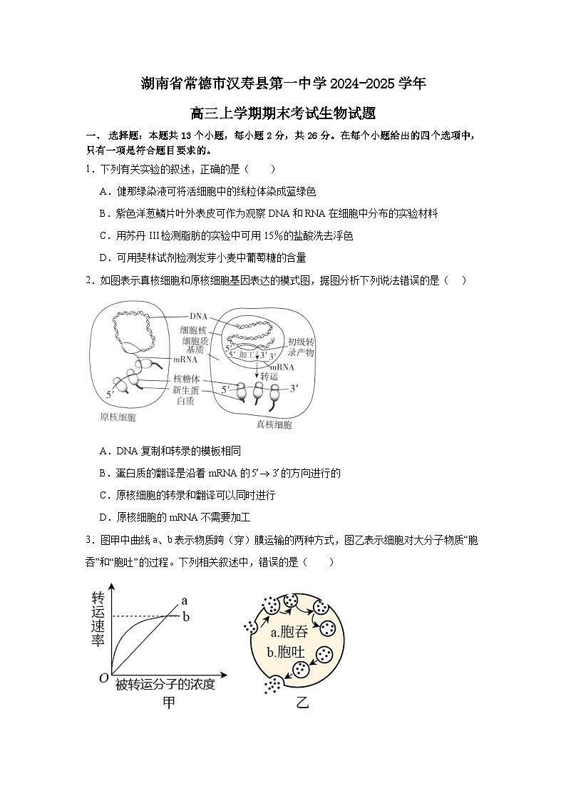 湖南省常德市汉寿县第一中学2024-2025学年高三上学期1月期末考试生物试题第1页