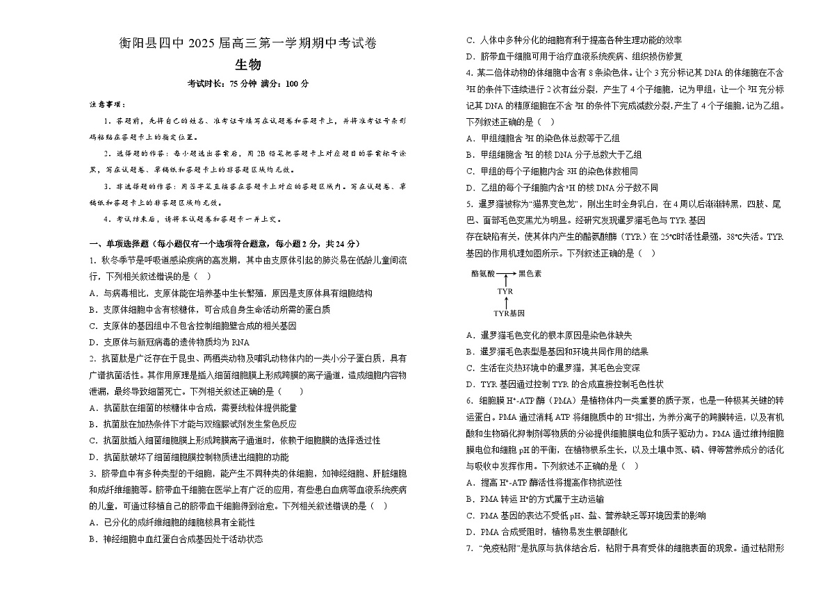 湖南省衡阳市衡阳第四中学2024-2025学年高三上学期11月期中考试生物试题第1页