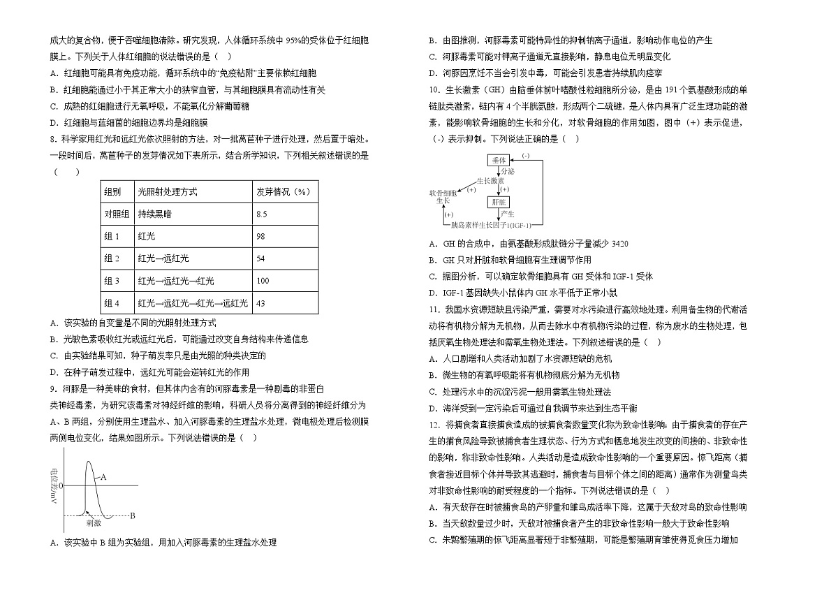 湖南省衡阳市衡阳第四中学2024-2025学年高三上学期11月期中考试生物试题第2页