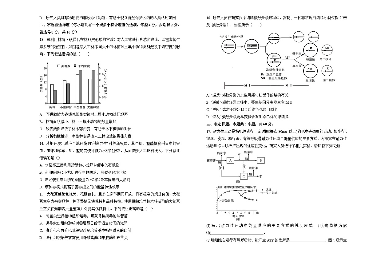 湖南省衡阳市衡阳第四中学2024-2025学年高三上学期11月期中考试生物试题第3页
