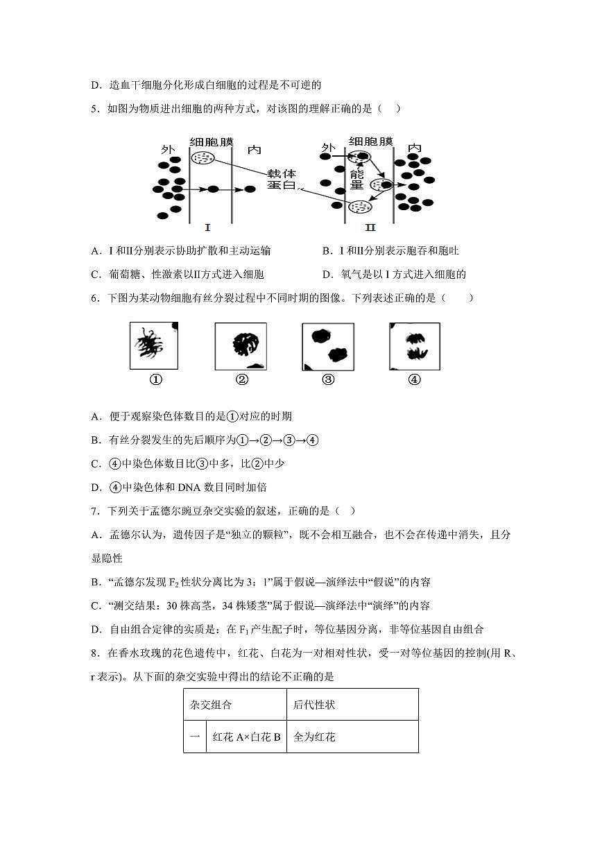 湖南省长沙市雅礼集团八校2024-2025学年高一下学期4月期中联考生物试卷+答案第2页