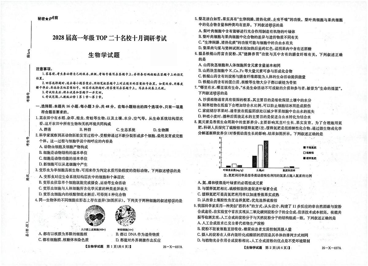 2028届高一年级TOP 二十名校十月调研考试生物学试题第1页