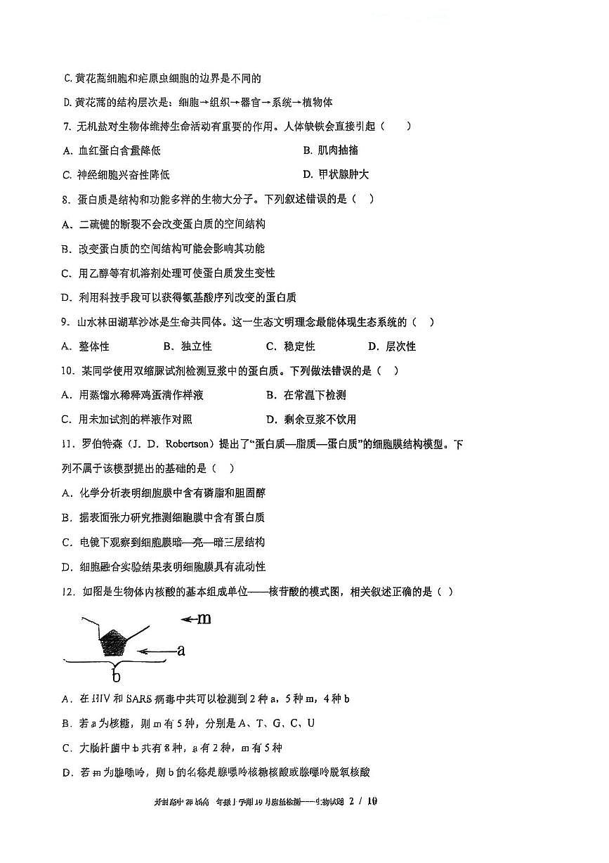 河南省开封高级中学2025—2026学年高一上学期10月质量检测生物试题（月考）第2页