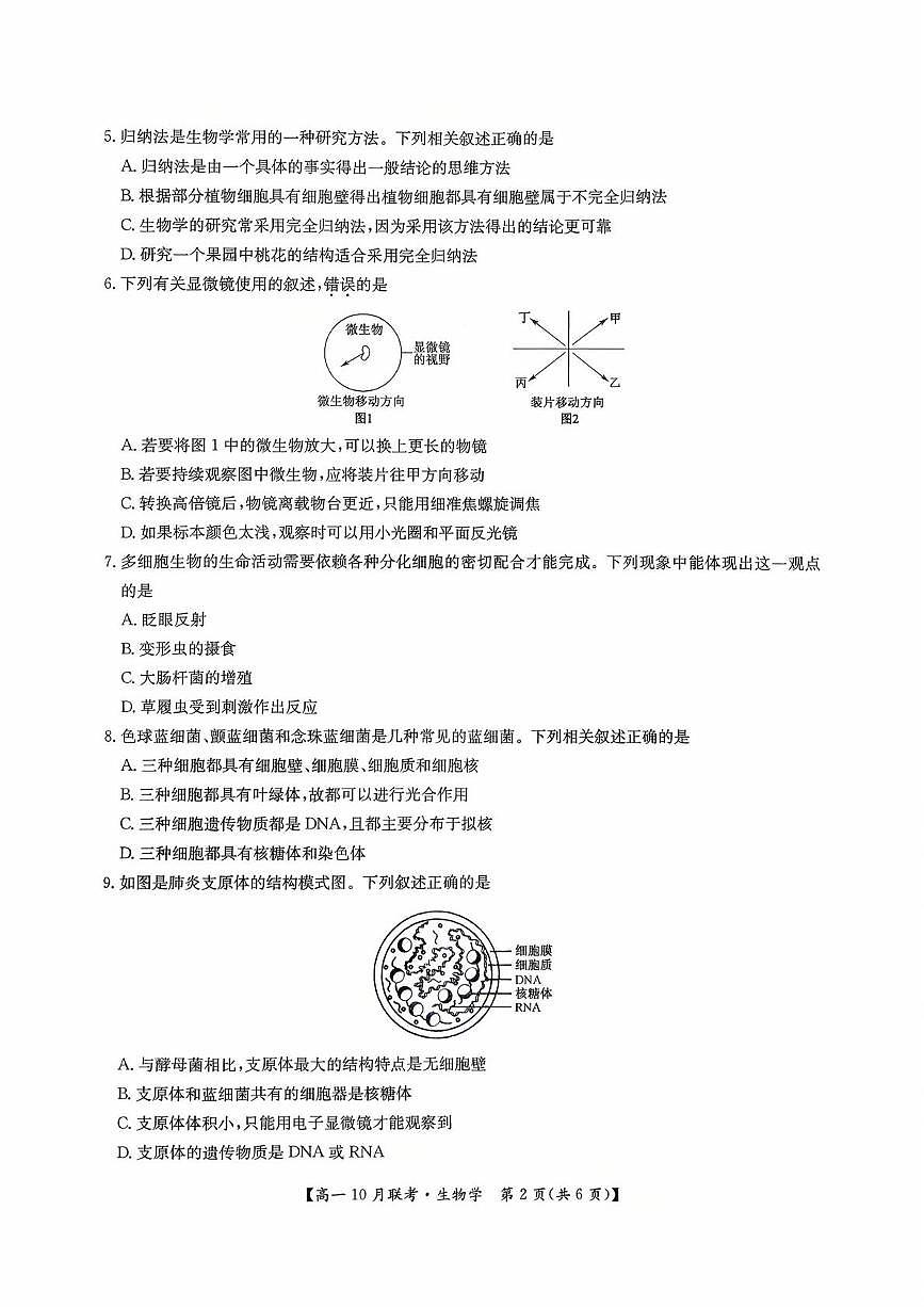 河南省洛阳市强基联盟2025-2026学年高一上学期10月联考生物试卷（月考）第2页