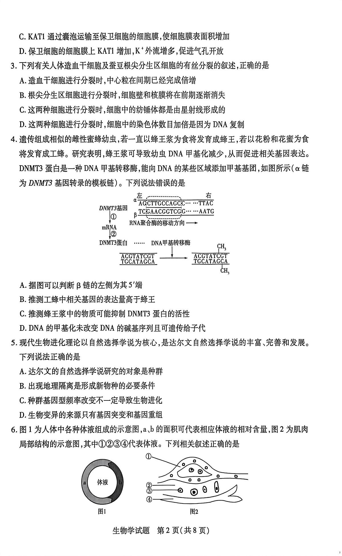 湖南省部分校2025-2026学年高二上学期10月联考生物试题（月考）第2页