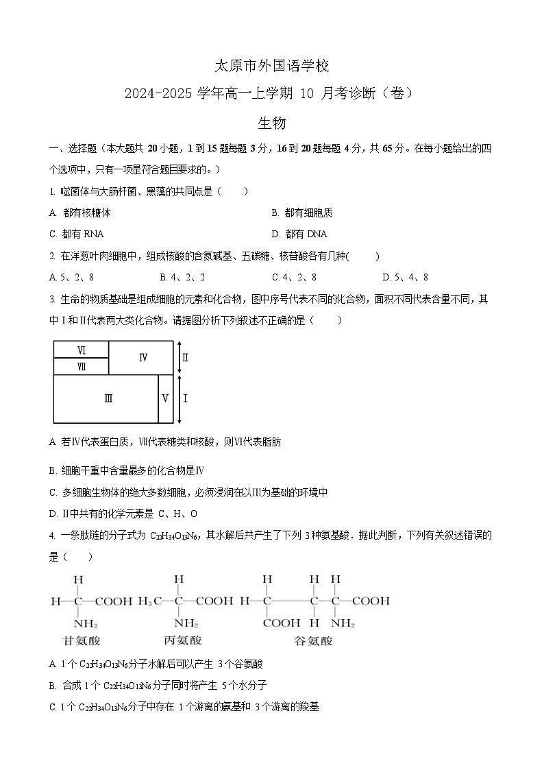 山西省太原市外国语学校2024-2025学年高一上学期10月考试生物试卷第1页