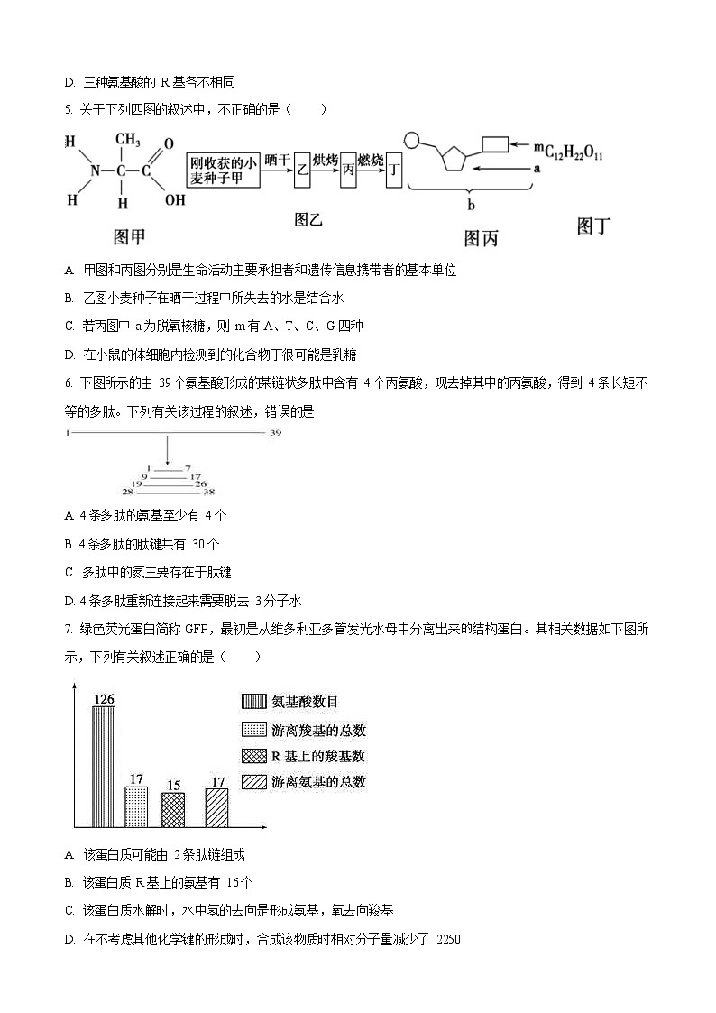 山西省太原市外国语学校2024-2025学年高一上学期10月考试生物试卷第2页