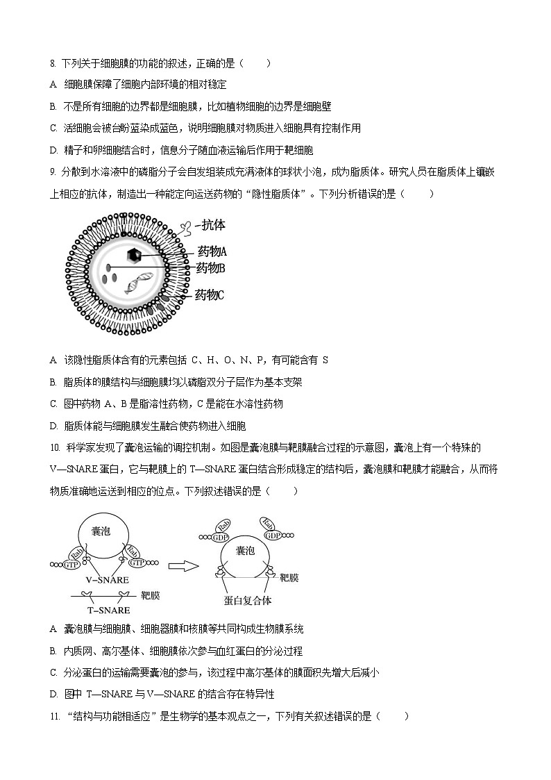 山西省太原市外国语学校2024-2025学年高一上学期10月考试生物试卷第3页