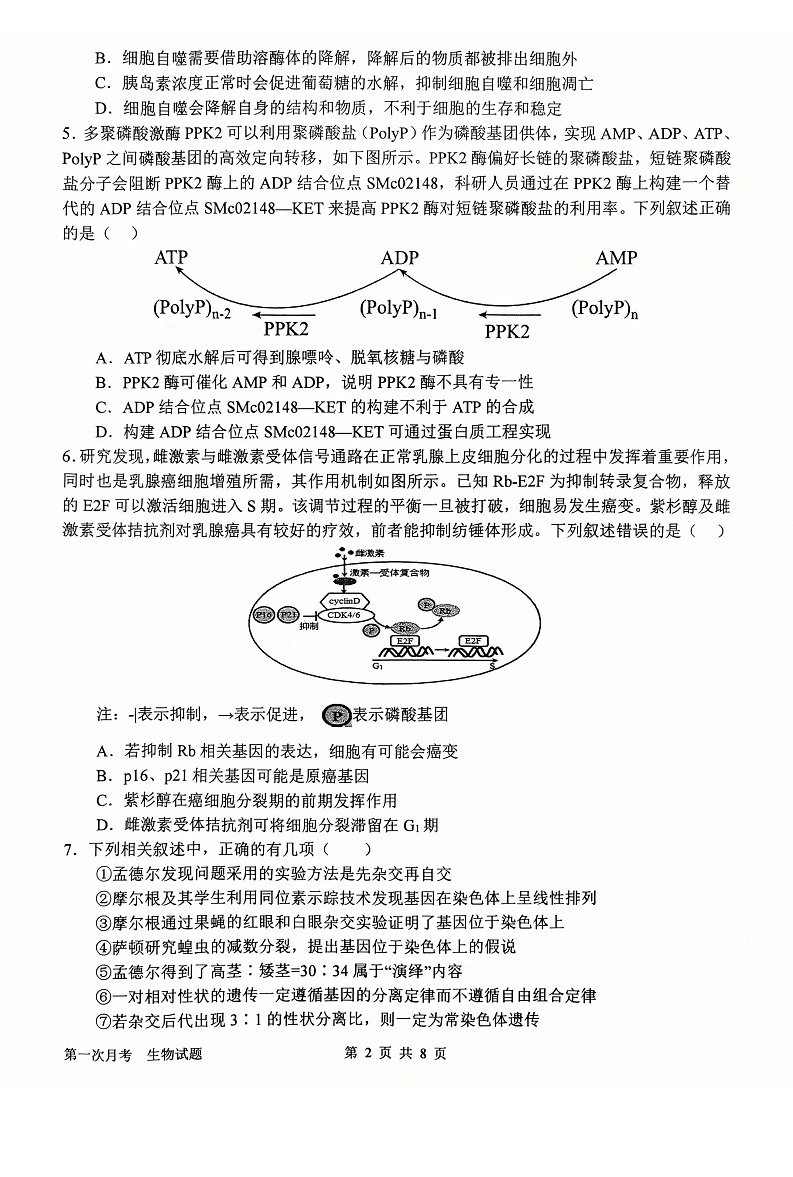 河南省南阳市第一中学2026届高三上学期10月考试 生物试卷第2页