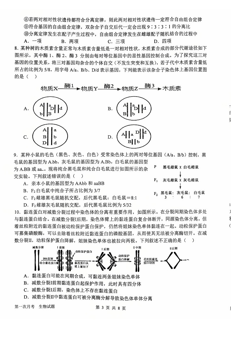 河南省南阳市第一中学2026届高三上学期10月考试 生物试卷第3页