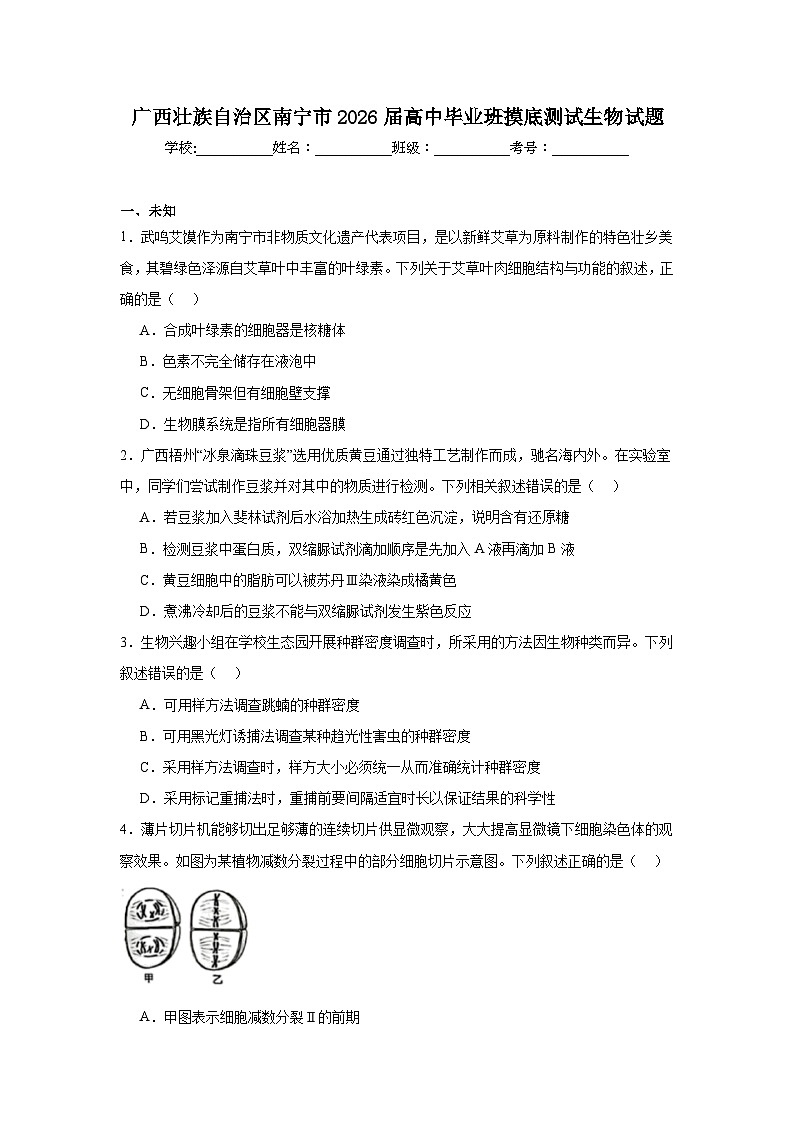 2025-2026学年广西壮族自治区南宁市高中毕业班摸底测试生物试题（无答案）第1页