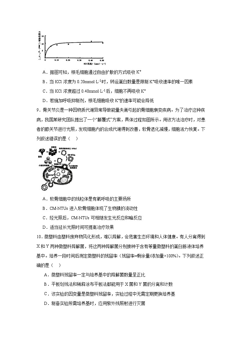 2025-2026学年广西壮族自治区南宁市高中毕业班摸底测试生物试题（无答案）第3页