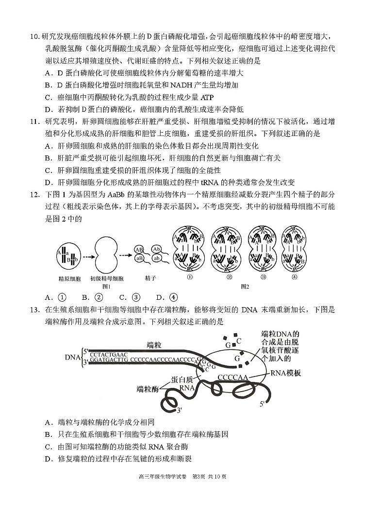 辽宁省沈阳市东北育才学校等校2025-2026学年高三上学期联合考试生物试卷（月考）第3页