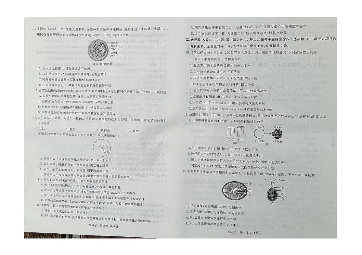 辽宁省名校联盟2025-2026学年高一上学期10月份联合考试生物试卷第2页