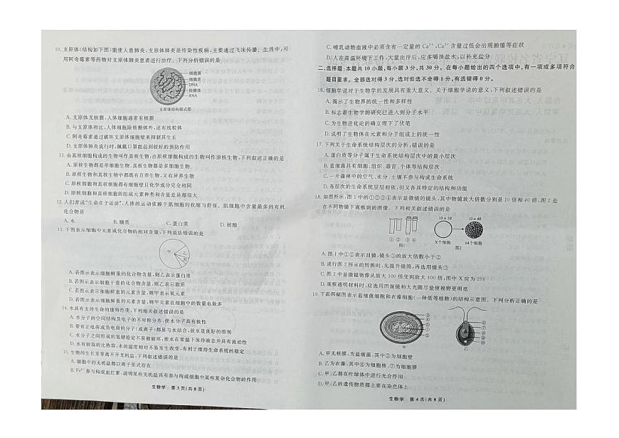 辽宁省名校联盟2025-2026学年高一上学期10月份联合考试生物试卷第2页