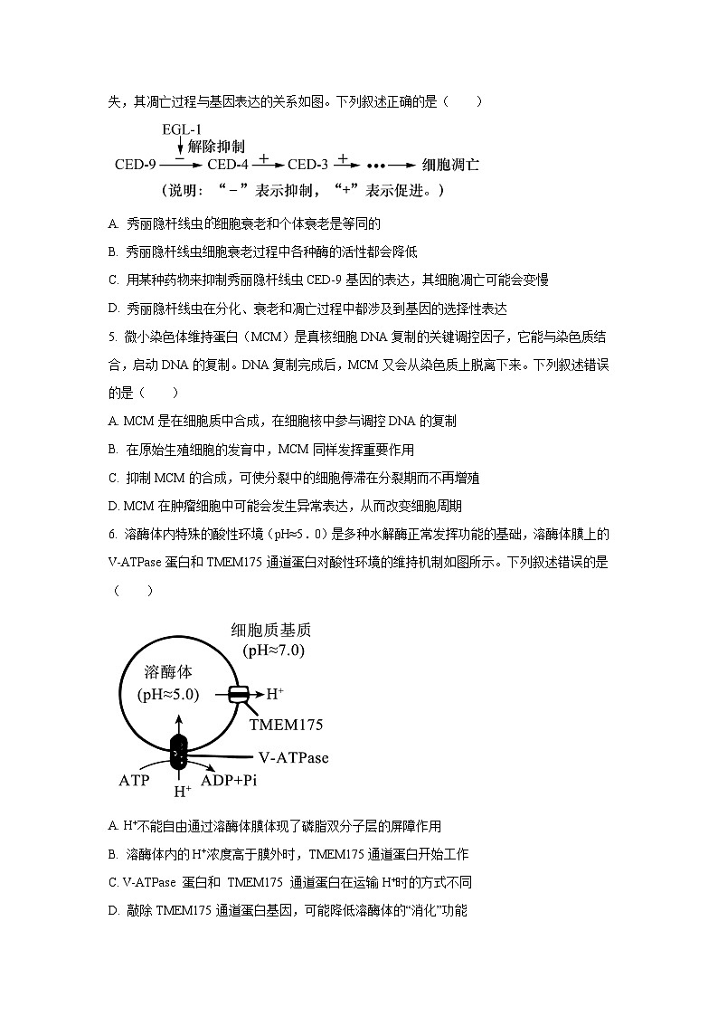 东北精准教学联盟2026届高三上学期10月联考生物试卷（学生版）第2页