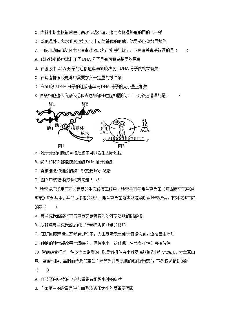 河北省承德市2025-2026学年高三上学期10月月考生物试卷（学生版）第3页