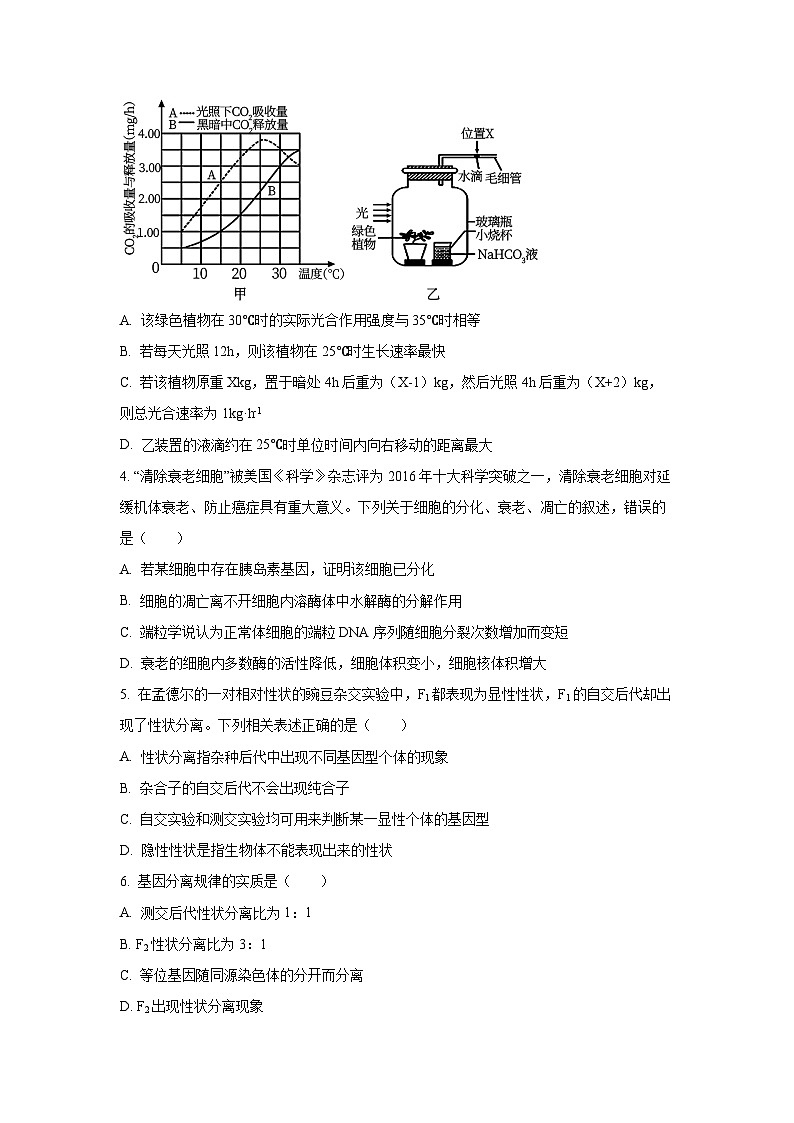 河北省石家庄市二中教育集团2024-2025学年高一下学期期末生物试卷（学生版）第2页