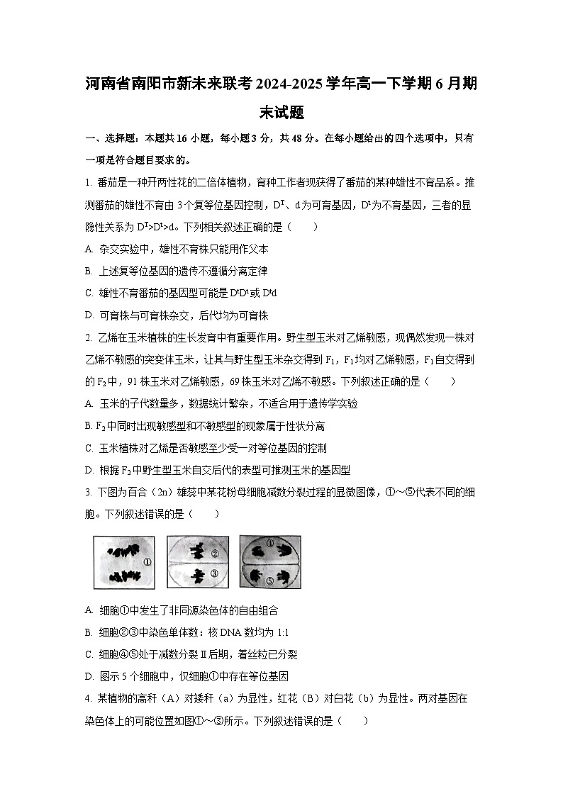 河南省南阳市新未来联考2024-2025学年高一下学期6月期末生物试卷（学生版）第1页