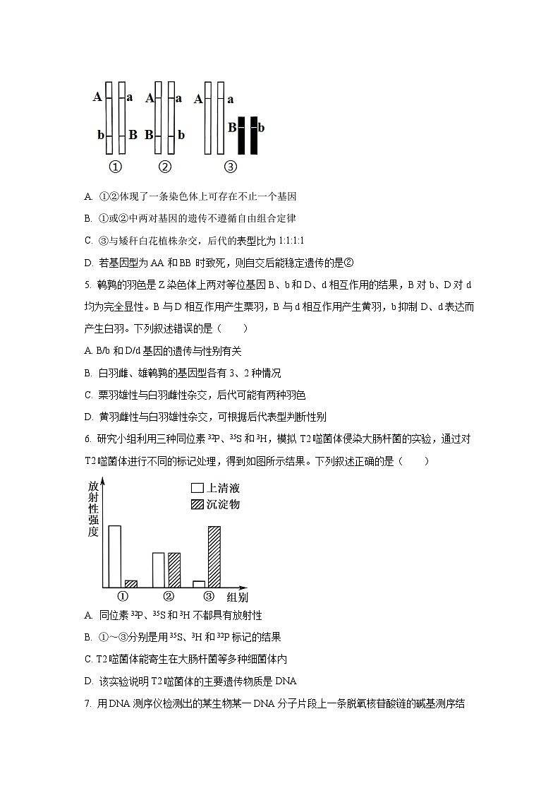 河南省南阳市新未来联考2024-2025学年高一下学期6月期末生物试卷（学生版）第2页
